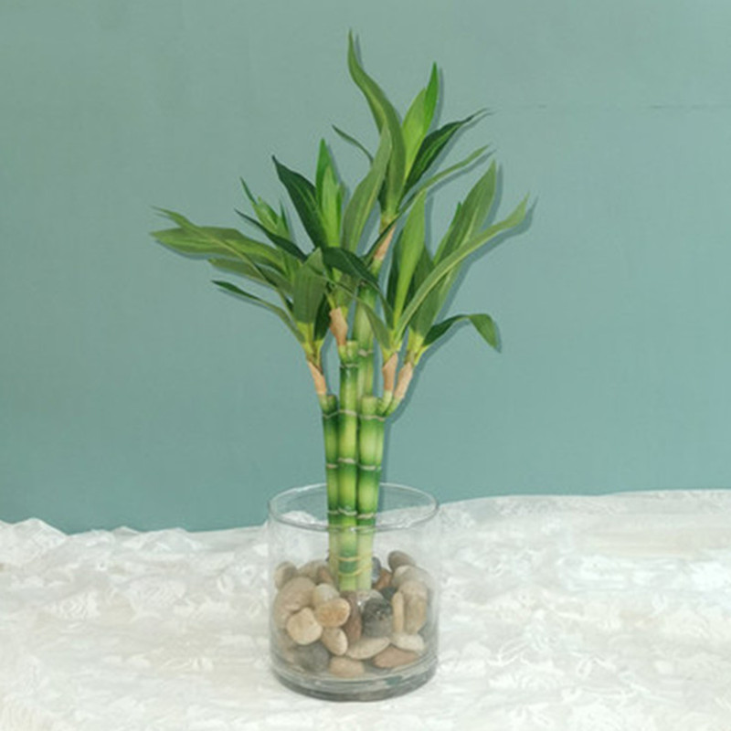 Desk Setup At Home - Nowy 40cm rFtificial Lucky Bamboo Succulent