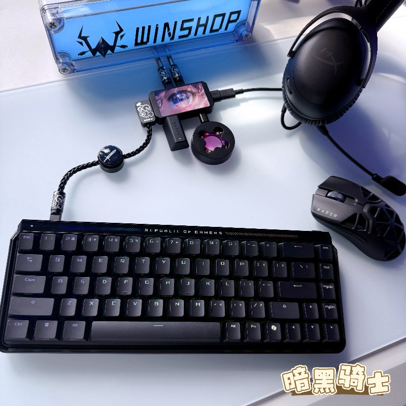WINSHOP Esports HUB Dual-In 4- – Desk Setup Accessories Aesthetic recenzja i cena